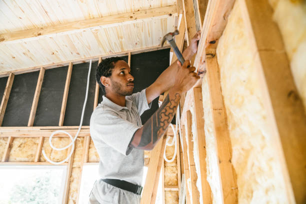 Best Attic Insulation Installation  in Dixon, IL